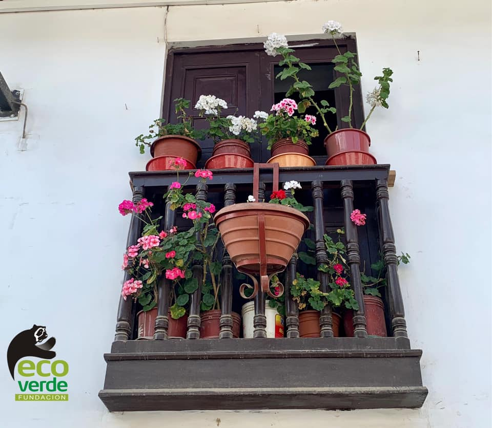 Balcones de Chachapoyas: historia, arquitectura y encanto colonial 2 image 1 hotel chachpoyas